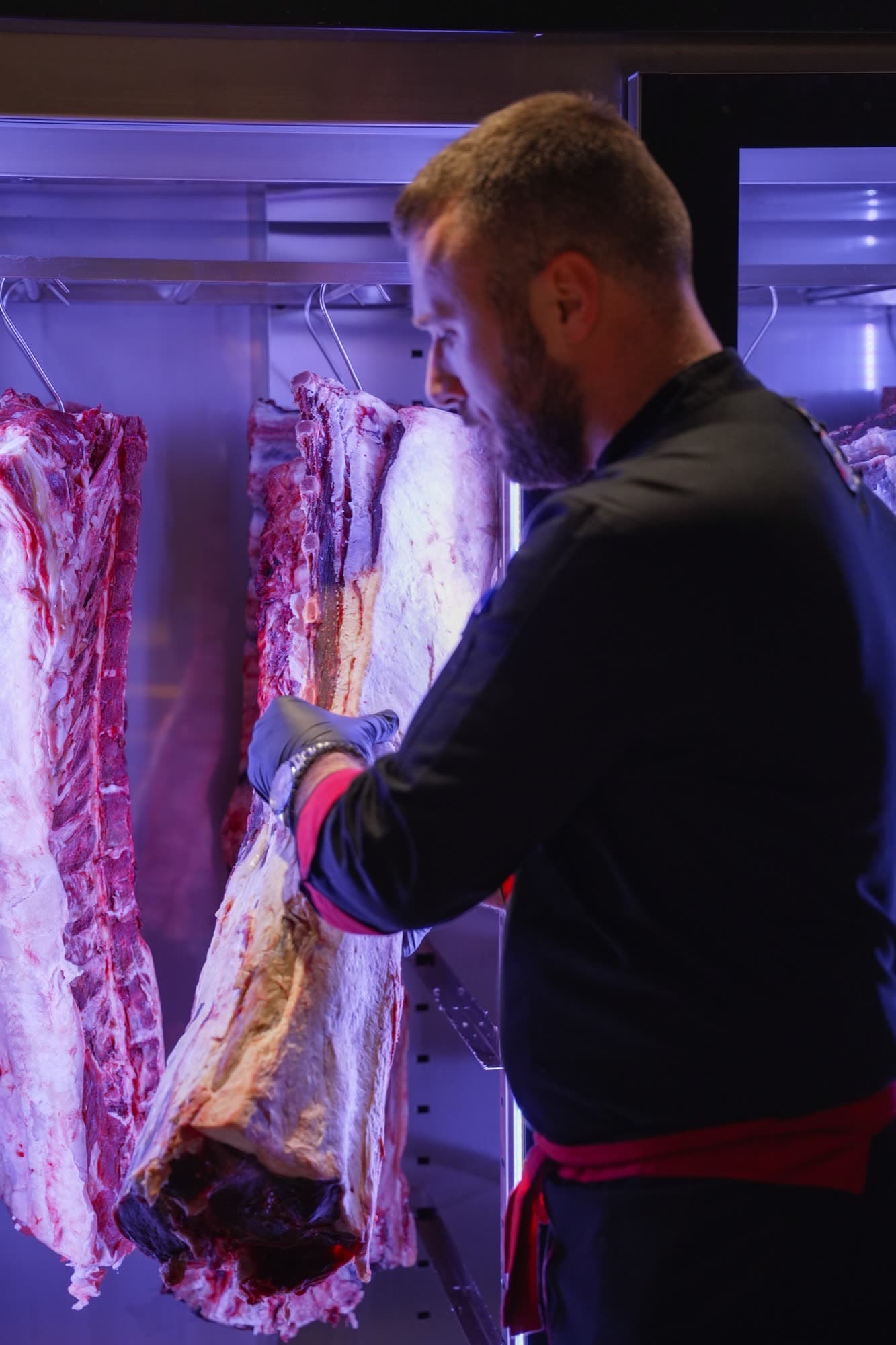 Chef working in the dry aging chamber with hanging beef sides