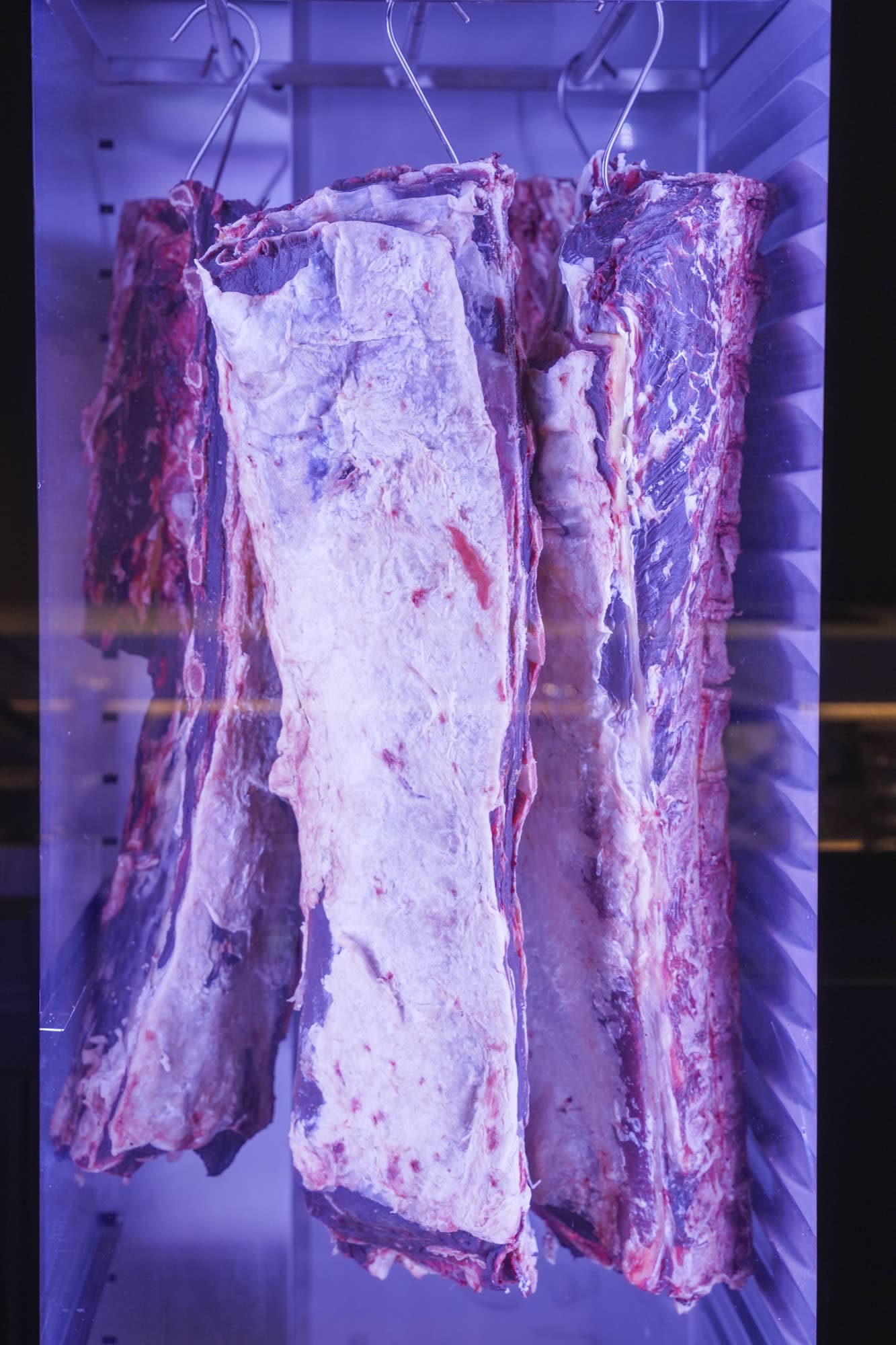 Dry aging chamber with hanging beef sides under UV light